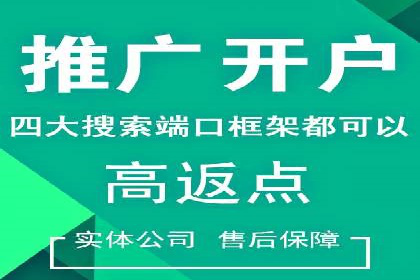 百度竞价排名实战：关键词优化与数据分析案例
